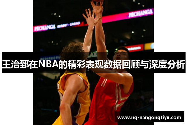 王治郅在NBA的精彩表现数据回顾与深度分析