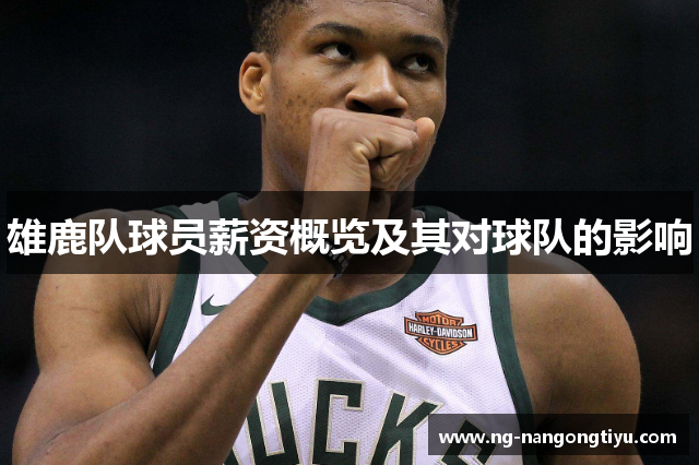 雄鹿队球员薪资概览及其对球队的影响